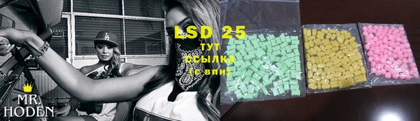 прущие грибы Вяземский