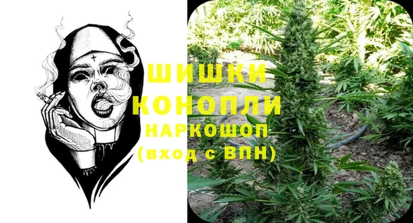прущие грибы Вяземский
