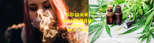 дмт Вязьма