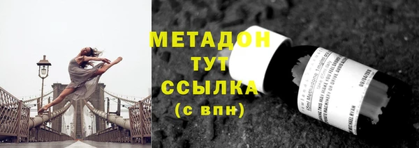 прущие грибы Вяземский