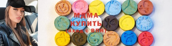 прущие грибы Вяземский