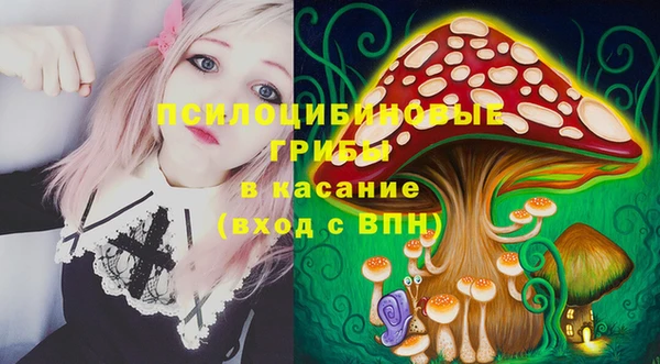 прущие грибы Вяземский