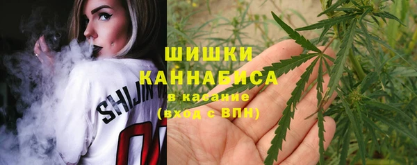 прущие грибы Вяземский