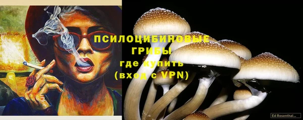 прущие грибы Вяземский