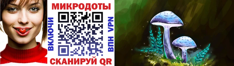 мега ссылки  купить наркоту  Сызрань  Псилоцибиновые грибы мицелий 